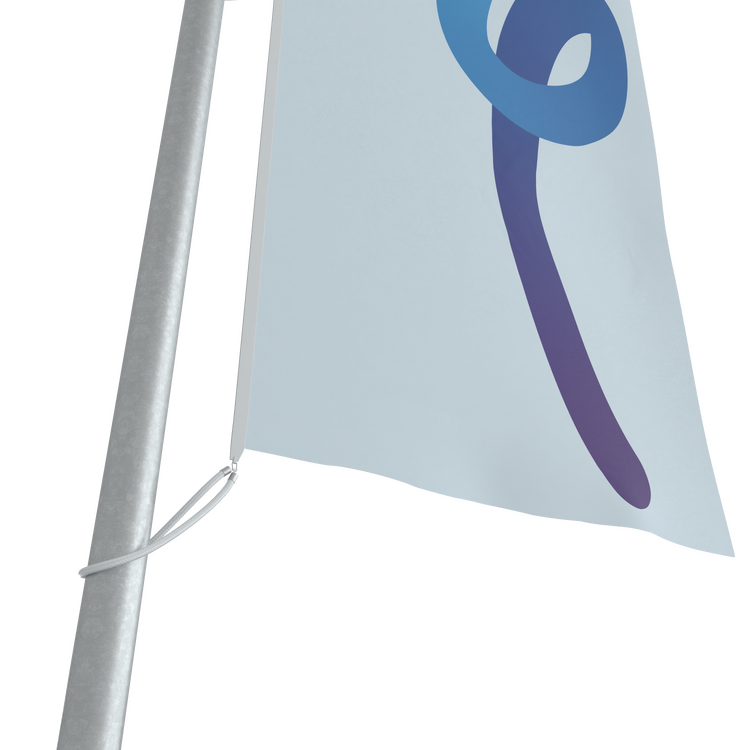 CFDTS-06.png